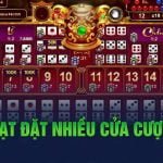 linh-hoat-dat-nhieu-cua-cuoc-tai-xiu