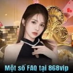 link-868vip-3-min