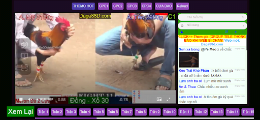 Xem trực tiếp đá gà tại nhà cái Daga 