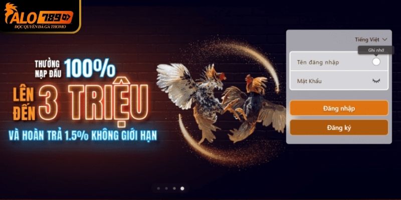 Hướng dẫn chi tiết thao tác đăng nhập Alo789 cho tân thủ