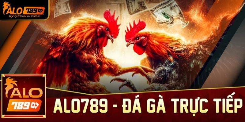 Đá gà cực cuốn tại Alo789