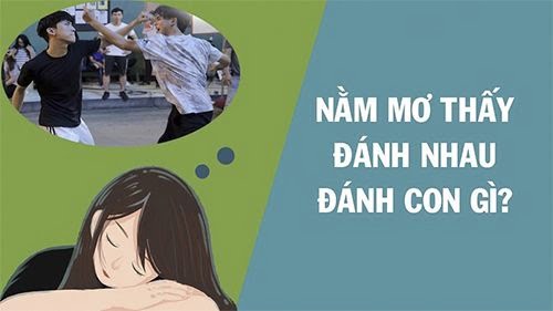 Mơ đánh nhau đánh con gì