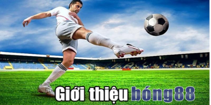 Kho game khổng lồ của Trang Bong88