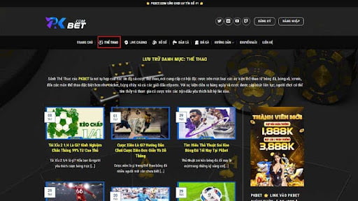 Cá cược thể thao chuyên nghiệp theo review Pkbet