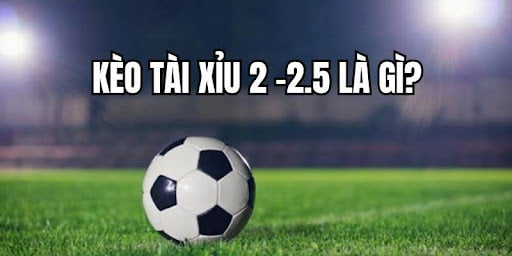 Tài Xỉu 2-2.5