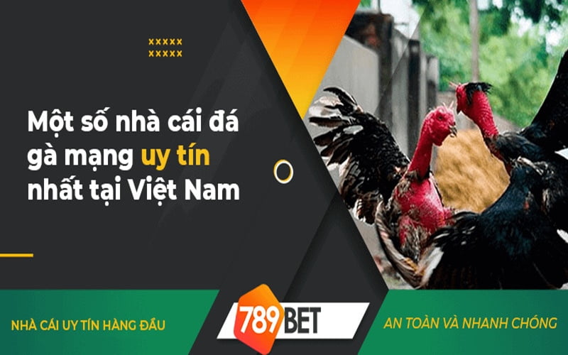 Đá gà trực tiếp