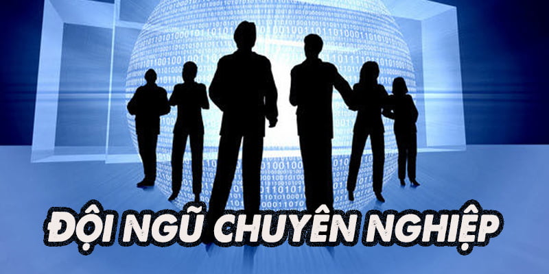 Đội ngũ chuyên nghiệp của nohu666