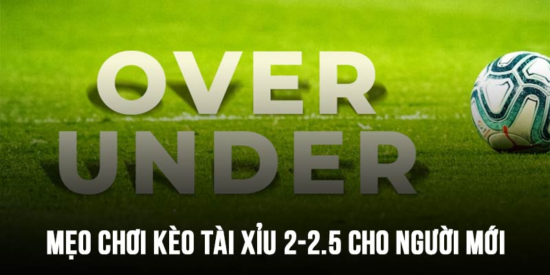 Mẹo giúp bạn mau chóng giành chiến thắng tài xỉu 2-2.5