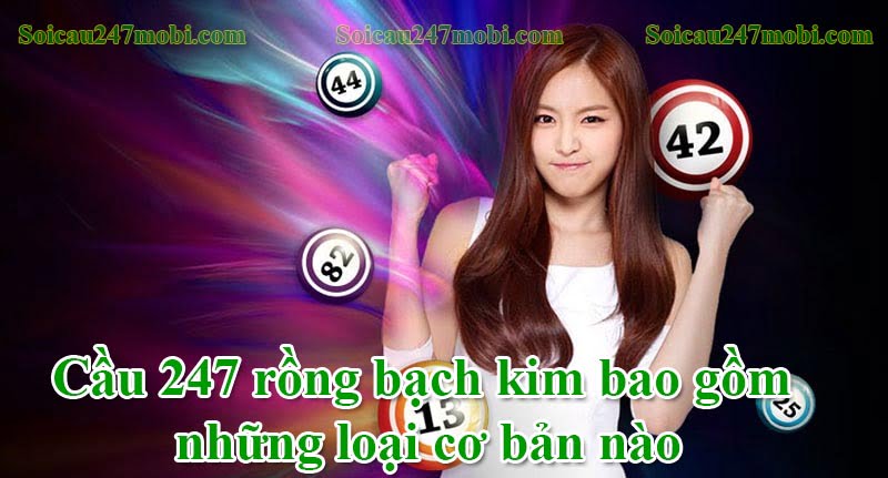 Cầu 247 rồng bạch kim bao gồm những loại cơ bản nào
