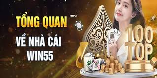 Đôi nét về nhà cái casino Win55