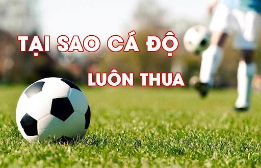  Chơi Cá Độ Tại vz99