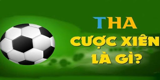 Chi Tiết Về Cược Xiên