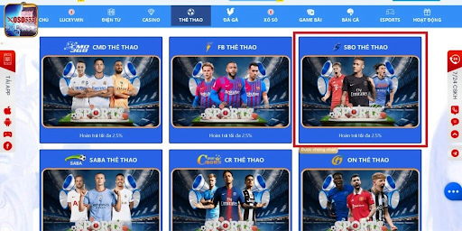 Các môn thể thao nổi bật trong 2024