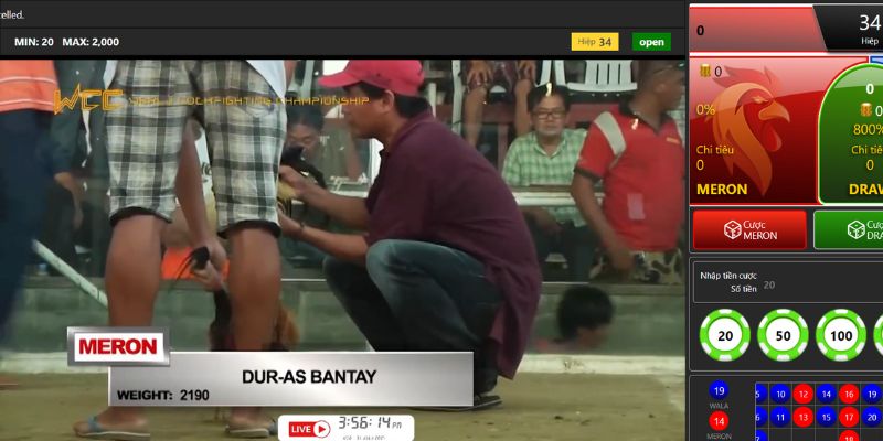 Các loại hình đá gà tại Bet88 cực đa dạng