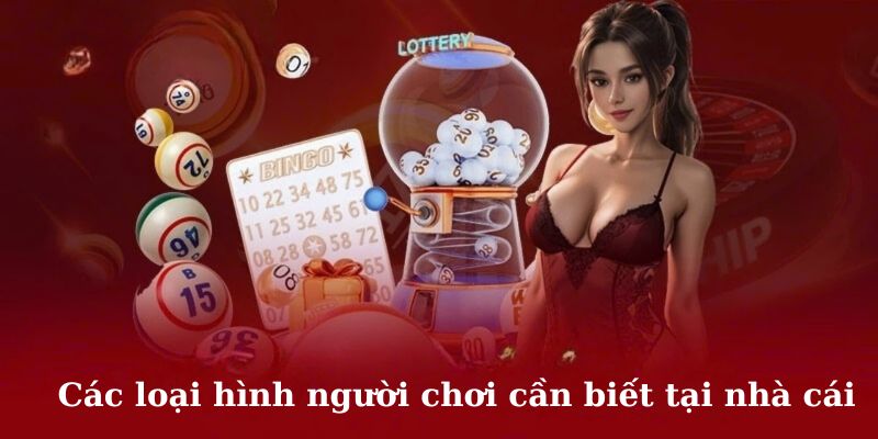 Các loại hình người chơi cần biết tại nhà cái