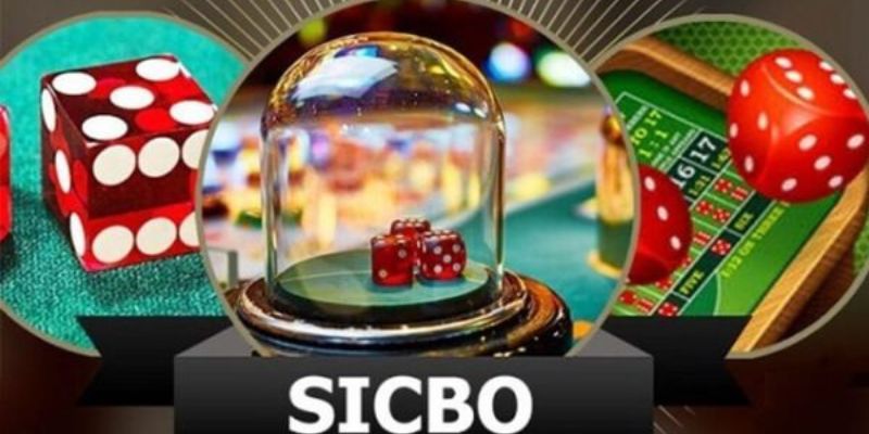 Đa dạng các cửa cược Sicbo