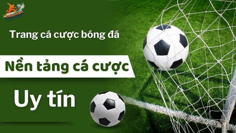 Đây được coi là nền tảng cá cược đáng tin cậy nhất hiện nay