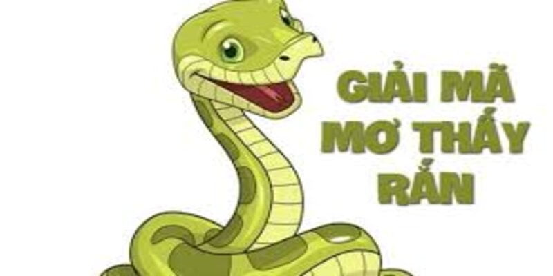 Cách thực hiện mơ thấy rắn đánh con gì
