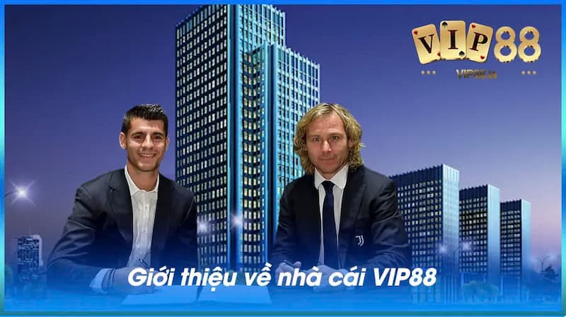 Vip88 