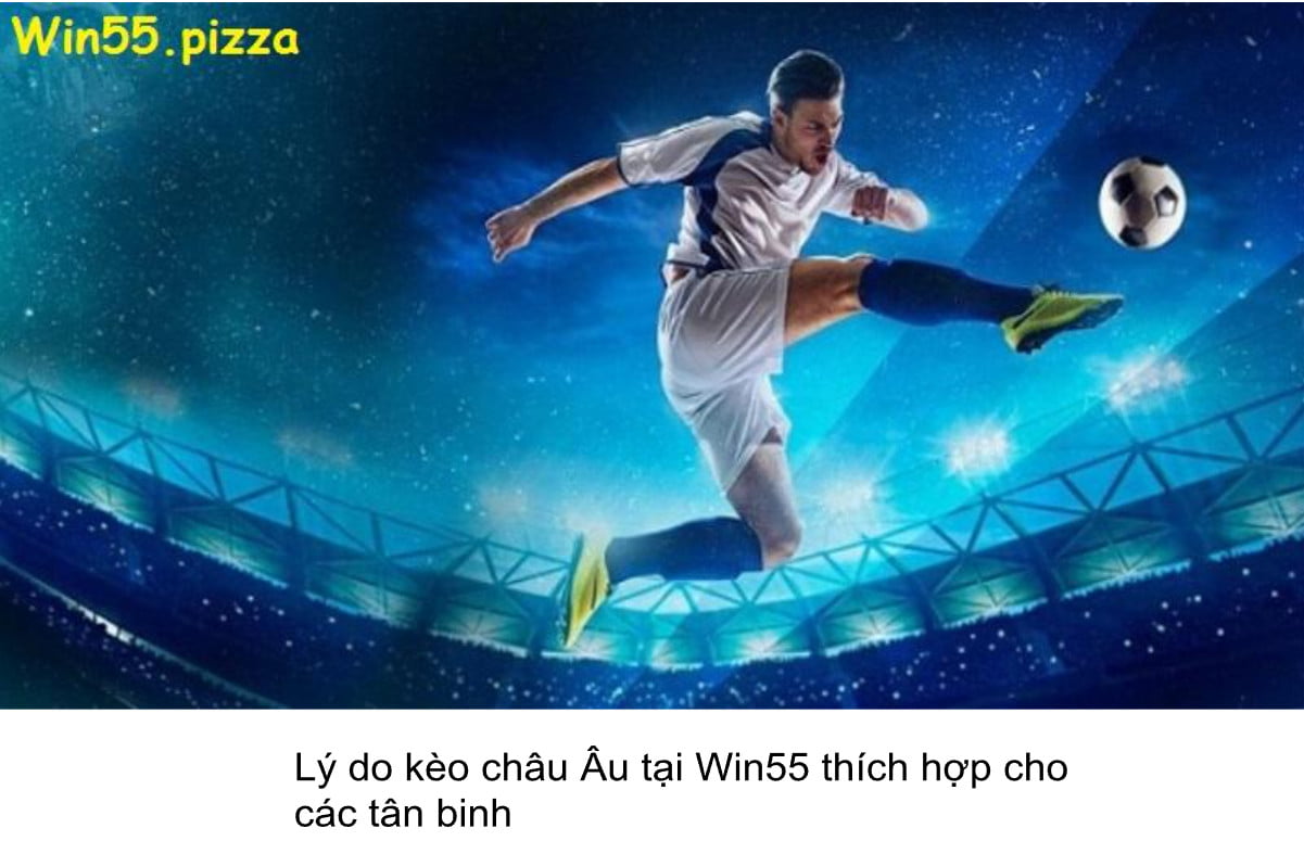 Lý do kèo châu Âu tại Win55 thích hợp cho tân binh