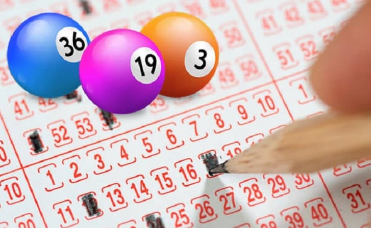 Giới thiệu về rồng bạch kim 247 net - lưu ý quan trọng