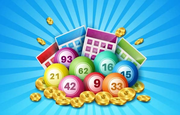 Giới Thiệu Về Rồng Bạch Kim