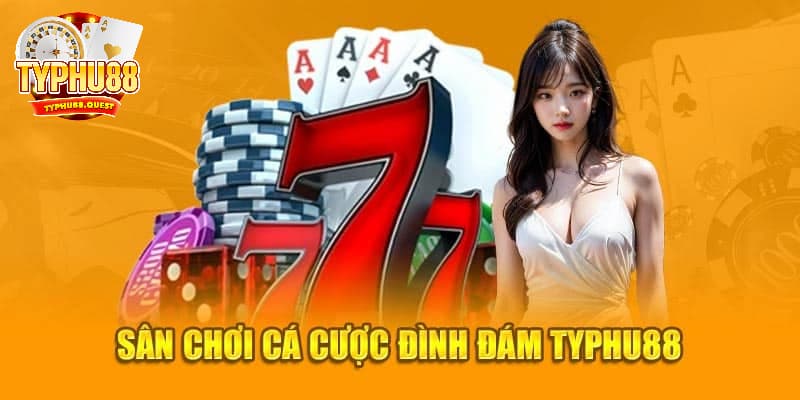 Chấp nhận các điều khoản