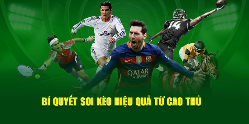 Bí quyết soi hiệu quả 