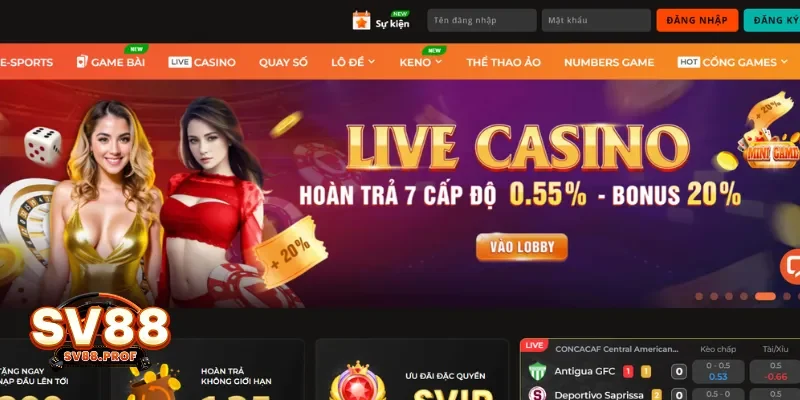 Giao diện Thân Thiện, Tốc Độ Truy Cập Nhanh Chóng