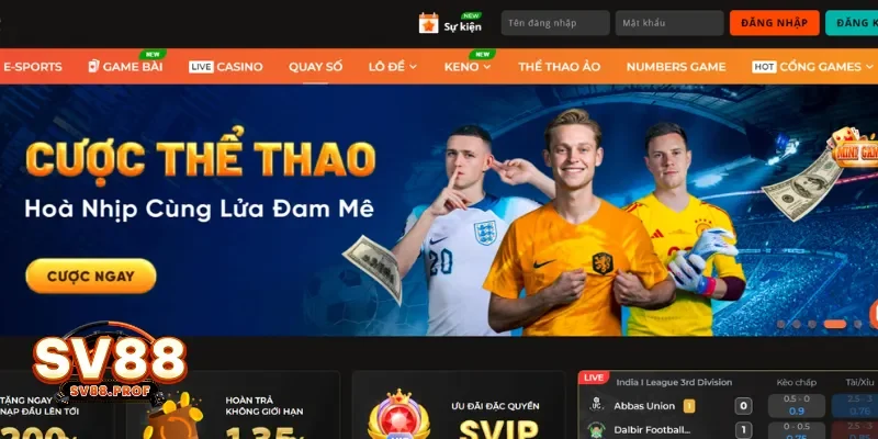 Ưu Đãi Hấp Dẫn Dành Cho Thành Viên Mới 