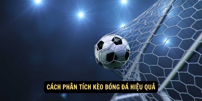 Bí quyết đọc kèo 8xbet: Những mẹo tăng cơ hội chiến thắng