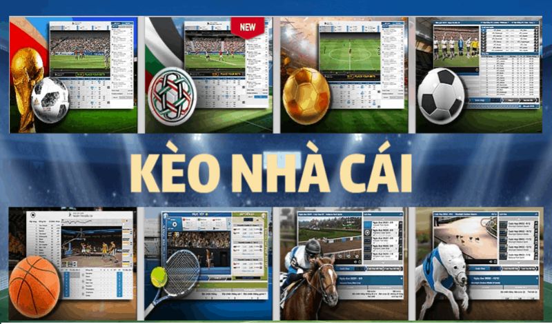 Các loại kèo phổ biến tại 8xbet: Đọc chuẩn xác, chơi tự tin