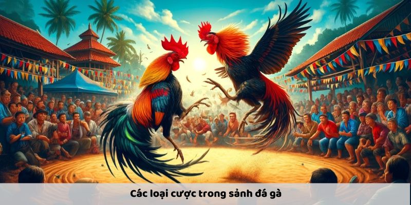 Lựa chọn Meron hoặc Wala để đặt cược