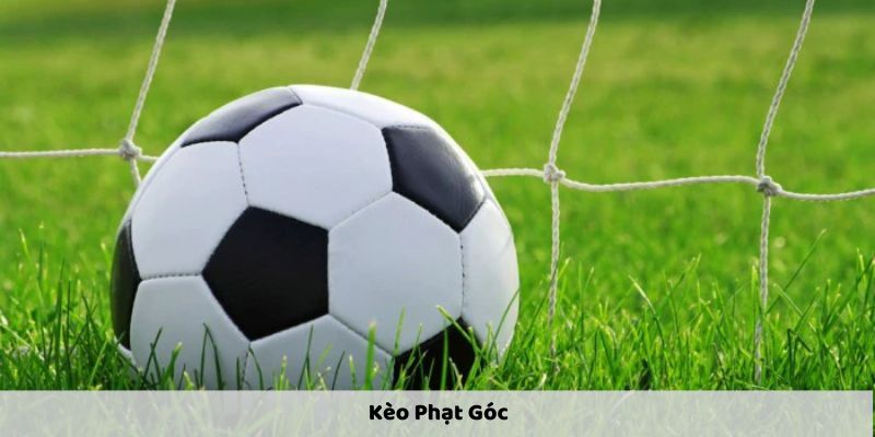 Kèo Phạt Góc