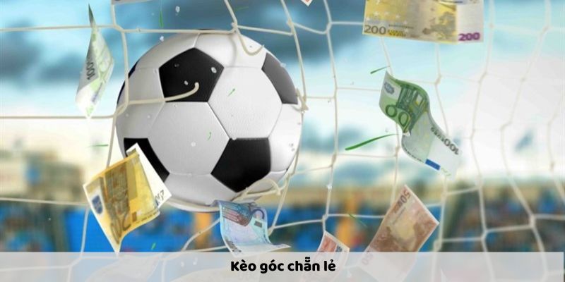 Kèo góc chẵn lẻ - Tỷ lệ và chiến lược cược hiệu quả