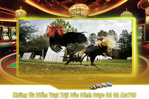 Những Ưu Điểm Vượt Trội Của Sảnh Cược Đá Gà Alo789