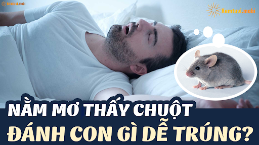 Hình Ảnh Chuột Chạy Vào Nhà Trong Giấc Mơ