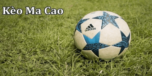 Mẹo Đánh Bại Kèo Macao Cùng Những Cao Thủ Cá Cược