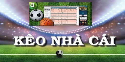 Tìm hiểu thông tin chung về hình thức soi kèo bóng đá tại Nowgoal