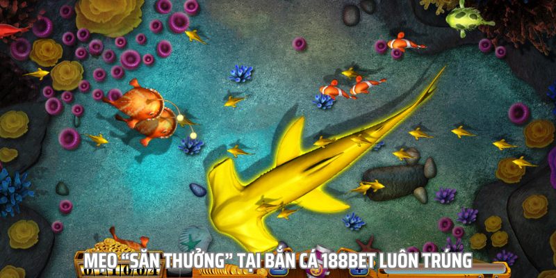 Bắn cá và những chiến thuật giành chiến thắng hiệu quả