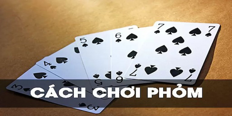Cách Xếp Phỏm – Chiến Thuật Chơi Bài Hiệu Quả Giúp Tăng Cơ Hội Chiến Thắng 2 Cách xếp phỏm
