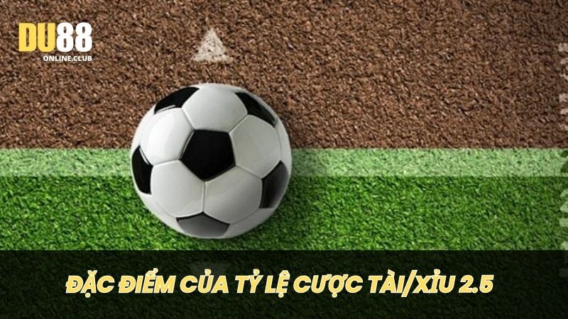 Kèo Tài/Xỉu 2.5 chỉ là một trong nhiều tỷ lệ cược trong các trận đấu thể thao