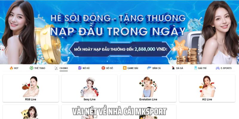 Mksport là nhà cái cá cược uy tín tại thị trường Việt Nam