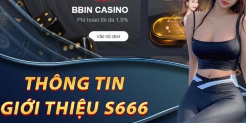 Quy trình đăng nhập S666 đơn giản nhất 2024