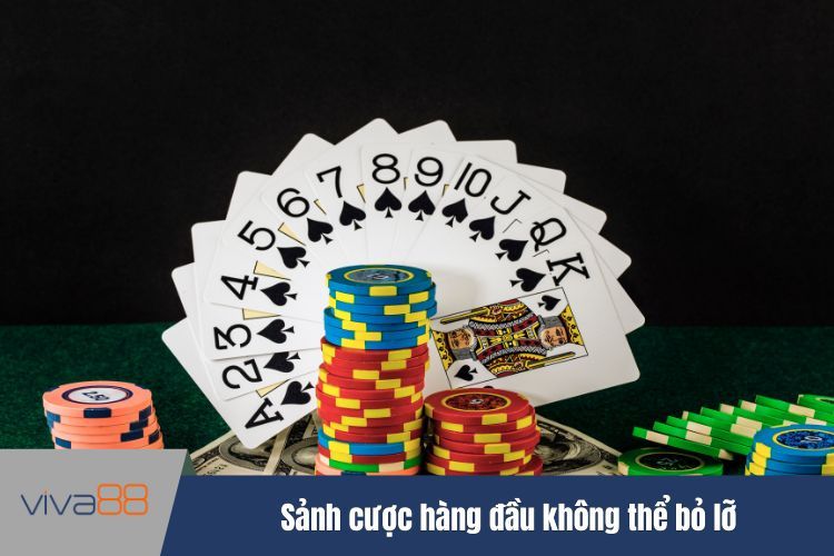 Sảnh cược hàng đầu không thể bỏ lỡ