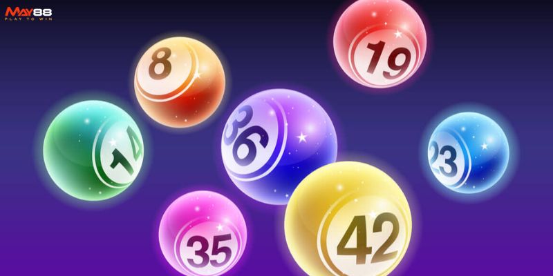 Giới thiệu chung về sảnh Evoplay May88