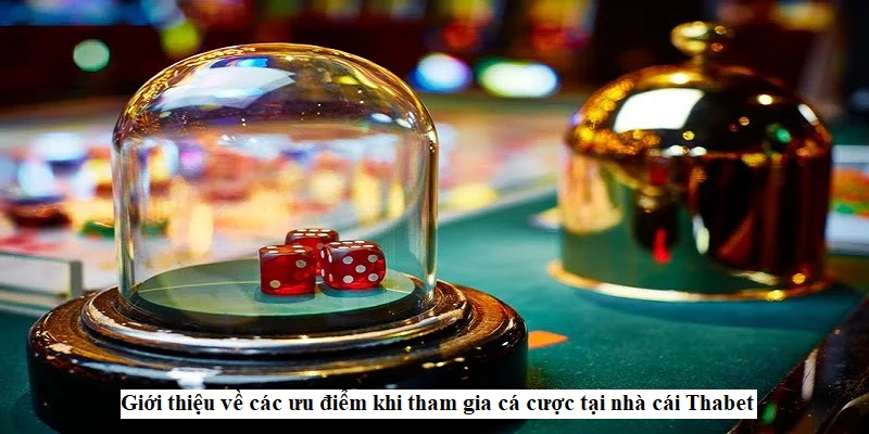 Giới thiệu về các ưu điểm khi tham gia cá cược tại nhà cái Thabet