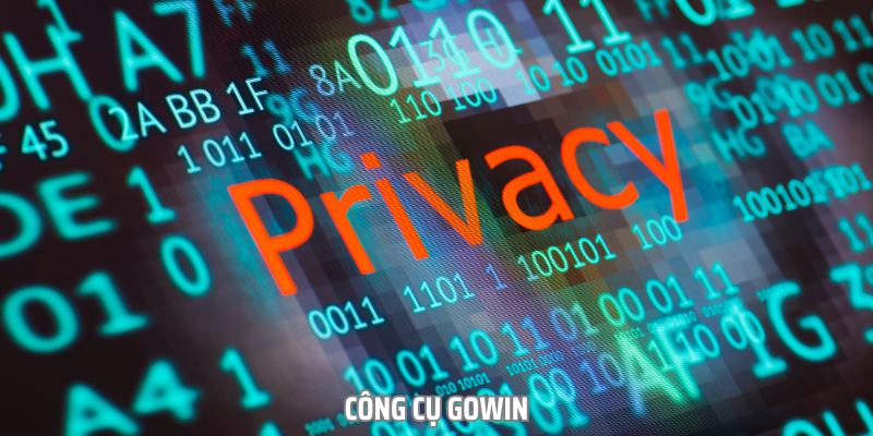 Gowin là một trong những phần mềm phổ biến trên thị trường