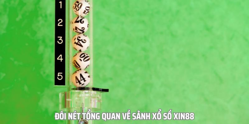 Xin88