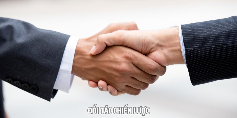 Các đối tác chiến lược hiện tại của nhà cái cá cược 78win